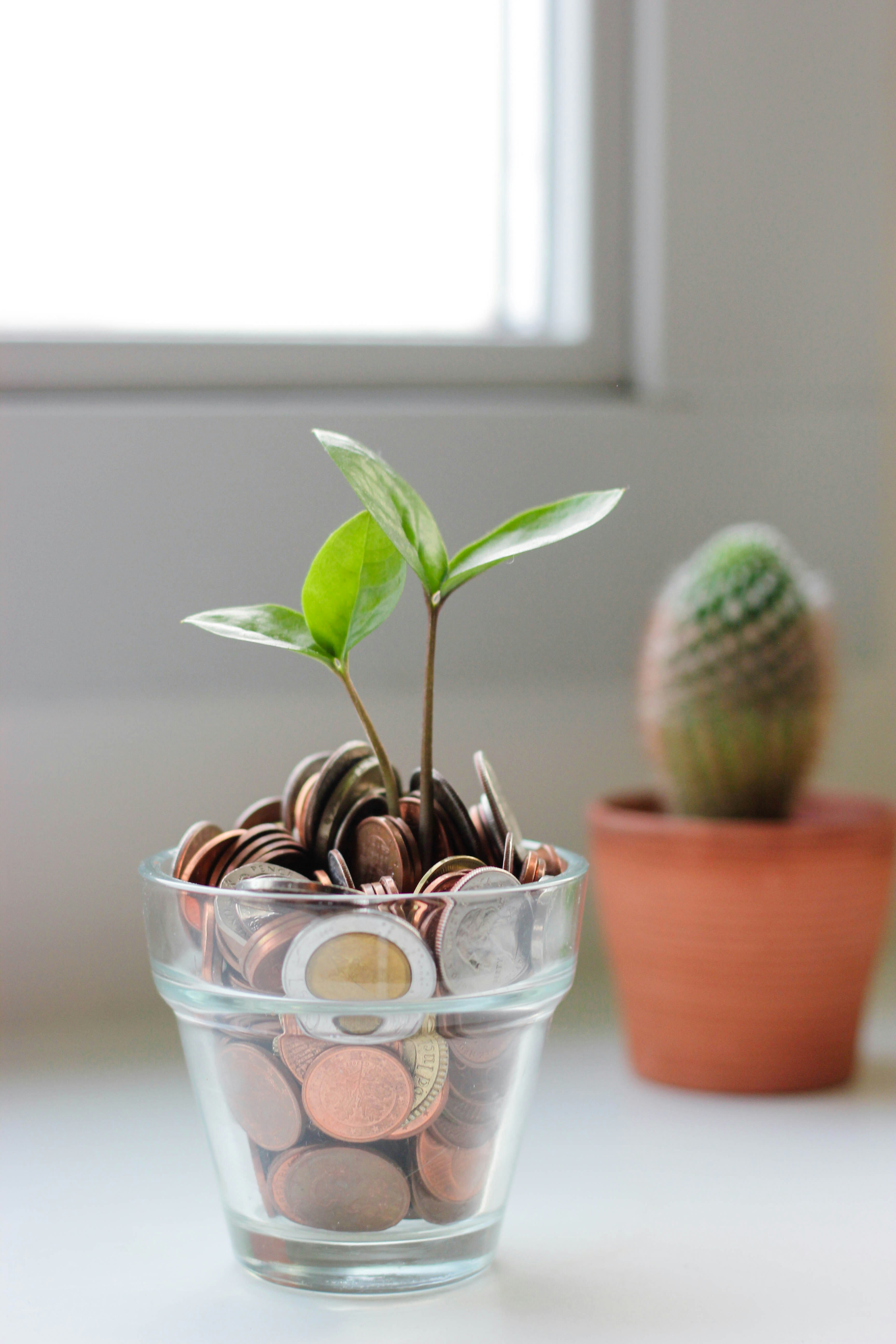 Illustration of financial wellbeing